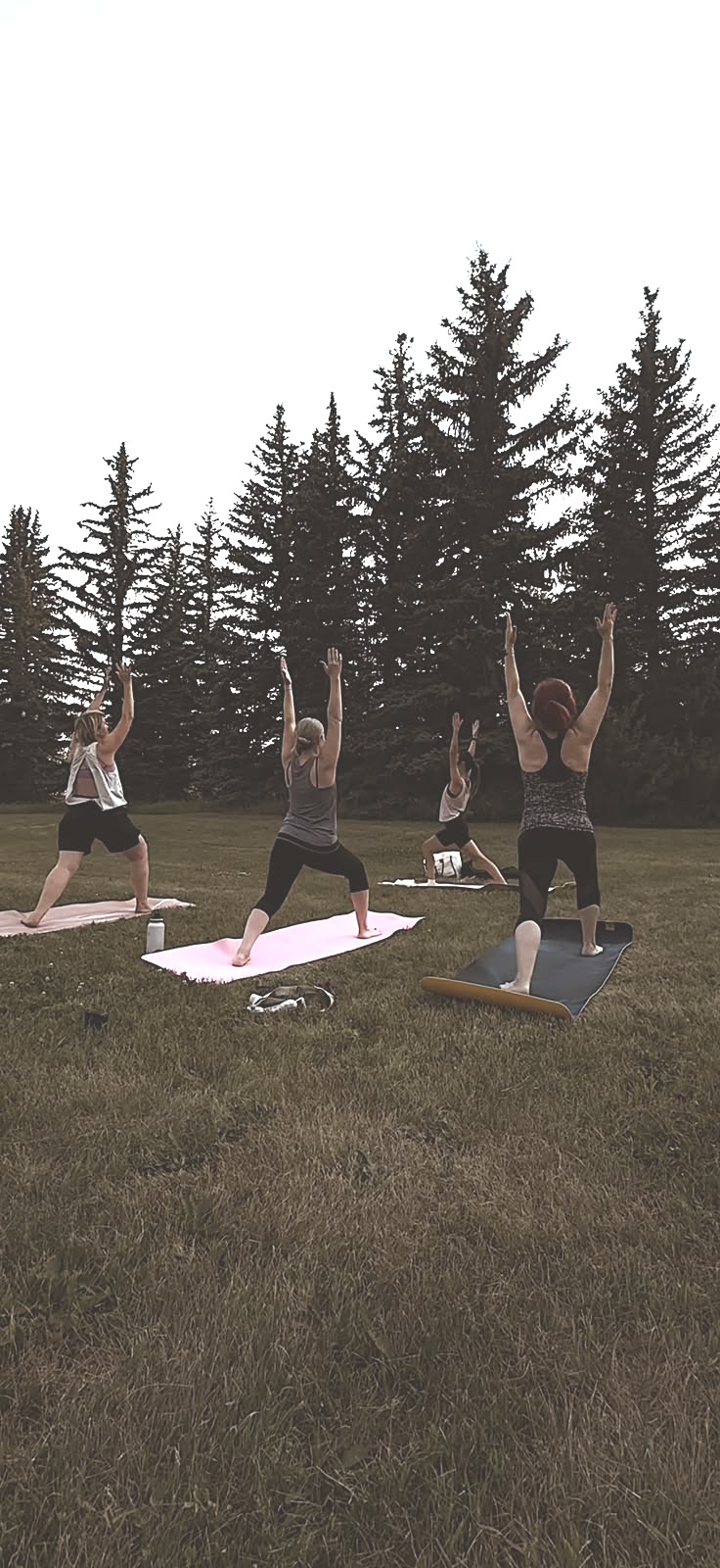 A private adult group practicing yoga outdoors in a park
